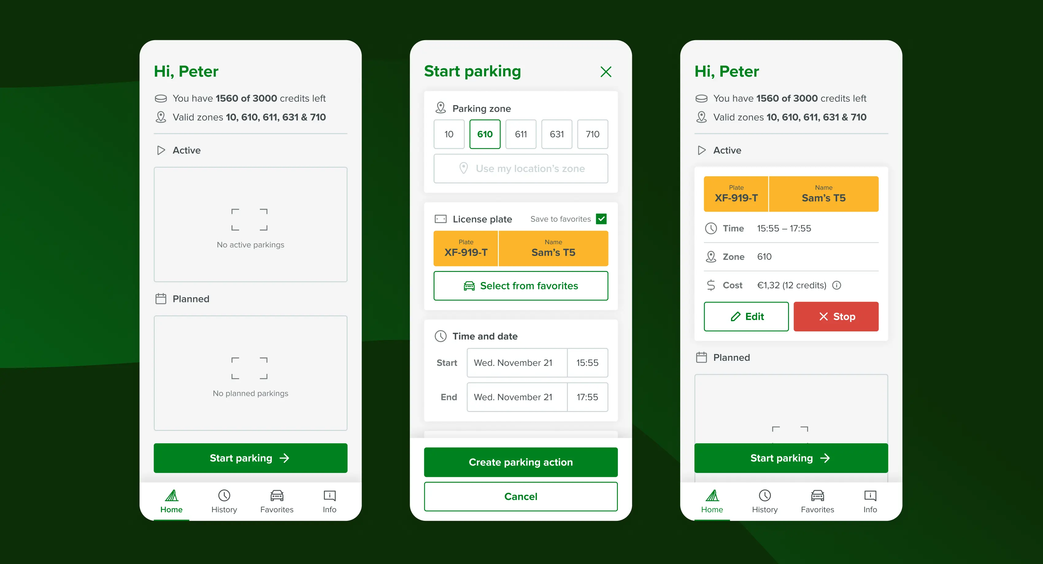 Home and start parking screen